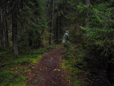 在森林深处森林人穿过茂密的森林图片