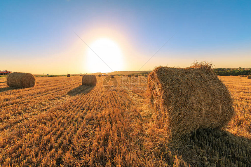 收割小麦后的农田野上的落日与圆形干草堆图片