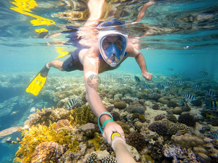 男人在水下异国情调的热带天堂浮潜图片