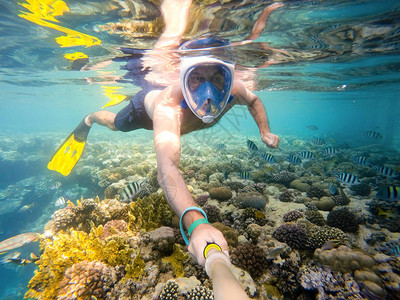 男人在水下异国情调的热带天堂浮潜图片