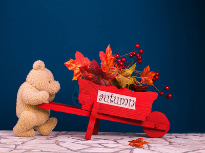 泰迪熊驾驶红色马车用文字aubumn和秋叶在深蓝图片