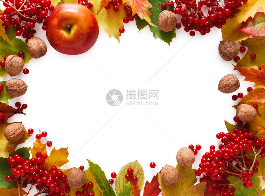 在白背景上与复制空间隔绝的秋叶胡桃和苹果框美丽的黄色树叶边框落下季节收成概念图片