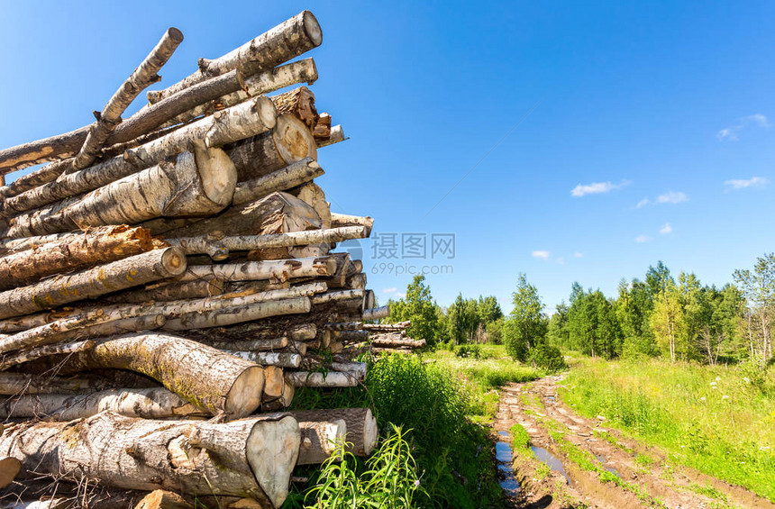 在阳光明媚的夏日砍伐树木的原木堆积在图片