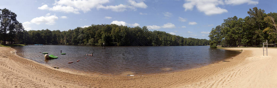 清洁的公园湖和海滩全景森林沙滩图片