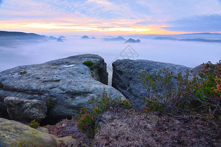 秋天的风景砂岩悬崖的晨景进入迷雾笼罩的深谷砂岩山峰从有雾的背景中增加背景图片