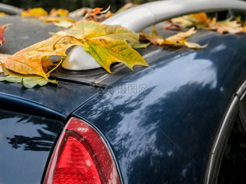 汽车上洒满秋叶和秋叶图片