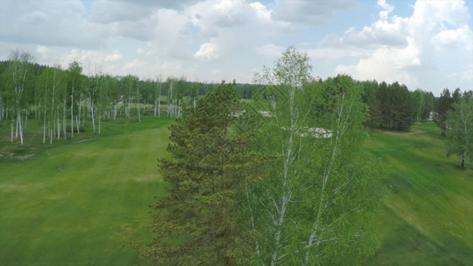 高尔夫球场池塘和绿草坪美丽的高尔图片