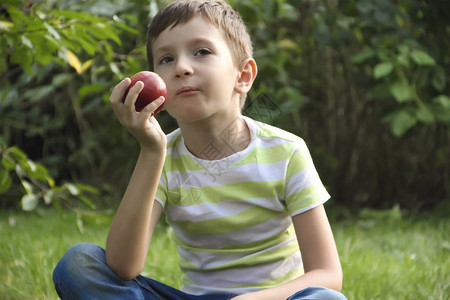 拿着苹果的男孩坐在草地上图片
