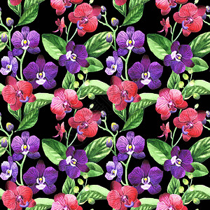 水彩风格的野花兰卉图案图片