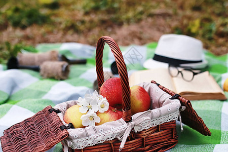 在春天公园的格子野餐上书和篮子里有食物图片