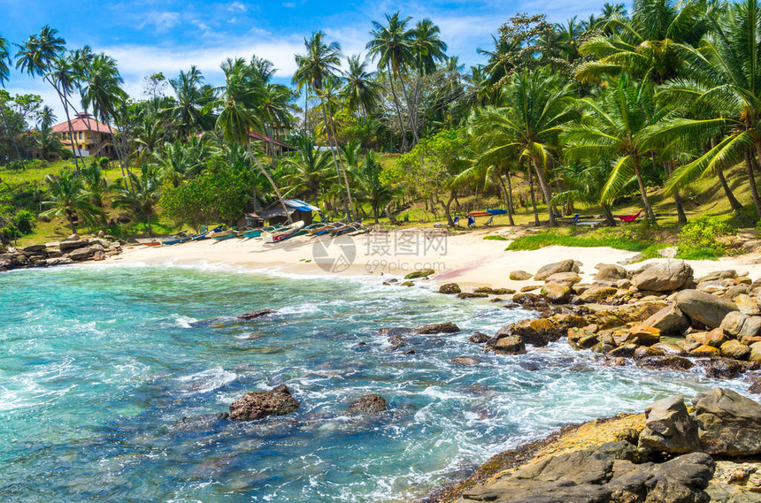斯里兰卡热带沙滩图片