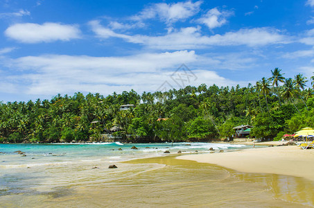 斯里兰卡的热带海滩M图片