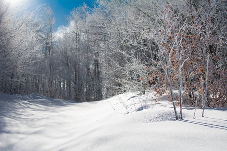 山上的冬天风景图片