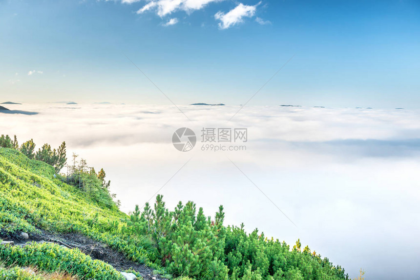 云中的青山日落时雾中青山的景观图片