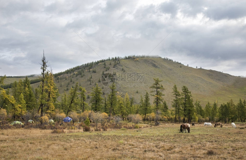 蒙古北部苔原野山露营地图片