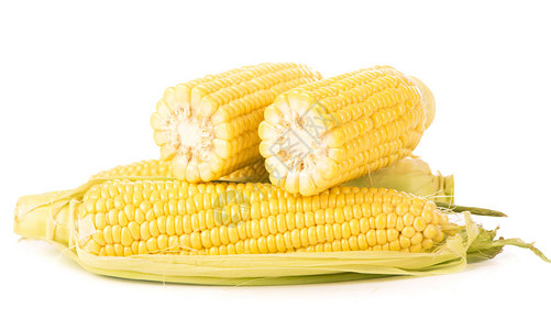 白色背景上有绿叶的生玉米图片