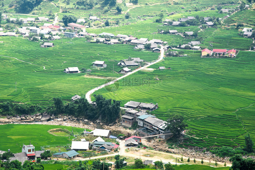 农业绿色稻田和水稻梯田在SAPA老街穆仓柴越南的山上大部分地区是水稻梯田图片