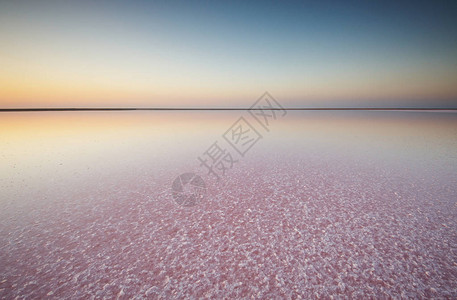粉红湖的水和盐图片