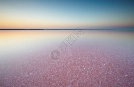 粉红湖的水和盐图片