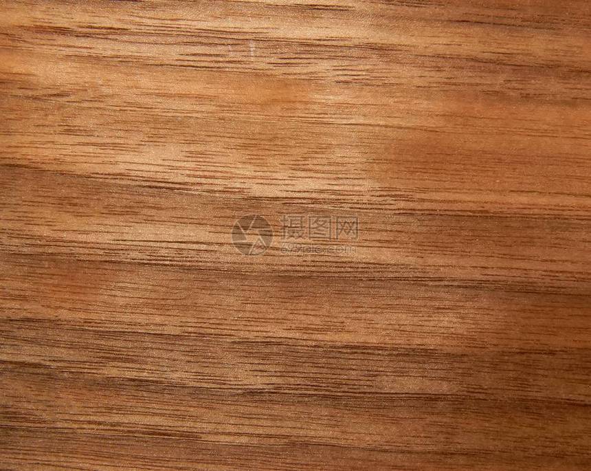 美国胡核桃树木表面的木质纹理毛图片