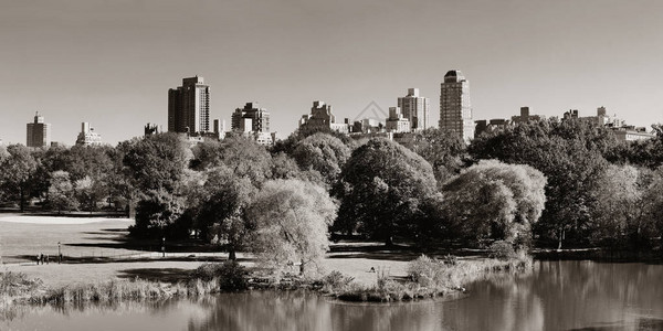 中央公园秋天和纽约市曼哈顿背景图片