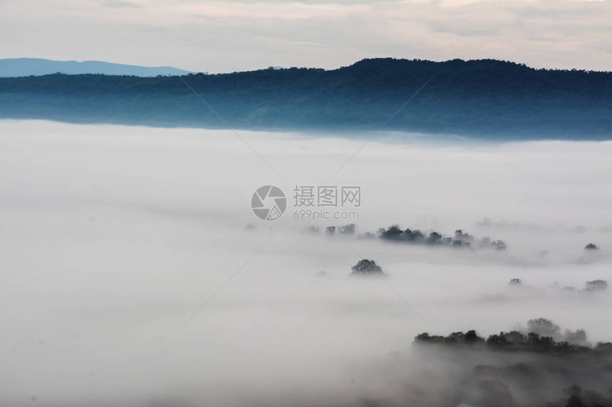 有树和雾的山图片