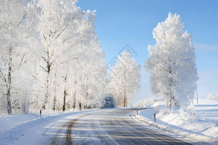 寒冬仙境雪覆盖森林道路图片