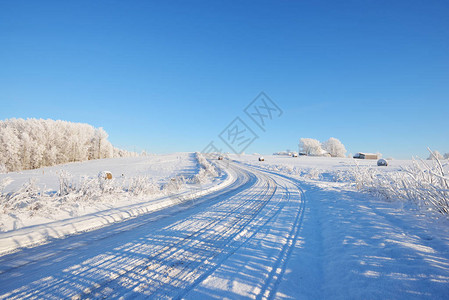 在阳光明媚的天气下冬季雪图片