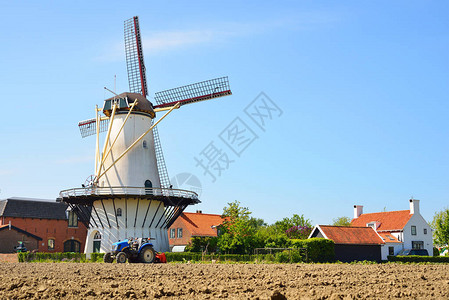 荷兰古典风景和白色风车在图片