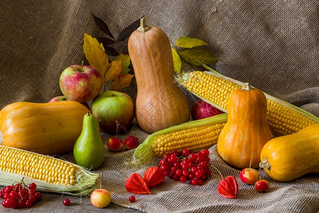 秋季蔬菜浆果和水果季节秋季食品南瓜玉米苹果梨图片