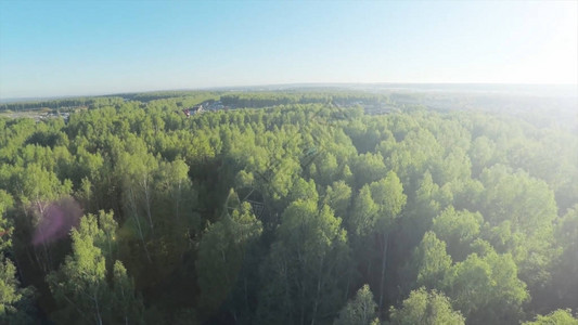 在晴天空中的森林从天空看木材和蓝天秋季美丽大森林鸟瞰图片