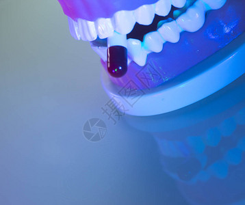 牙齿口齿口香糖牙医教学模型图片
