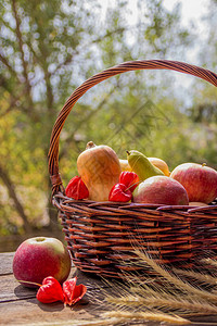 秋天的水果和蔬菜在花园里的篮子里季节秋季食品南瓜苹果梨图片