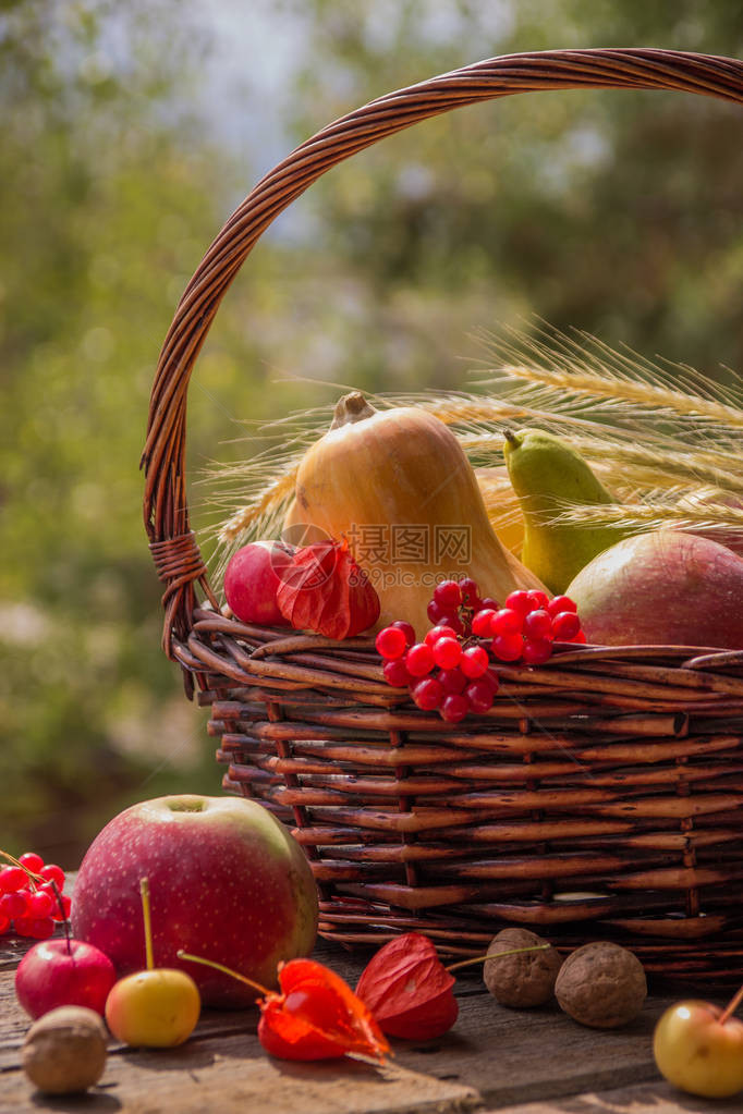 秋天的水果和蔬菜在花园里的篮子里季节秋季食品南瓜苹果梨图片