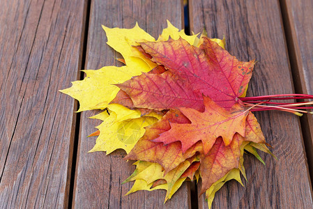 秋天公园里有落叶的长凳图片