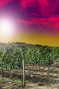 日出山丘田地牧场和阳光的意大利风景图片