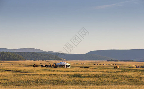 蒙古北部风景中的蒙古包图片