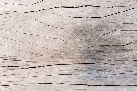 纹理表面木材旧脏木背景图片