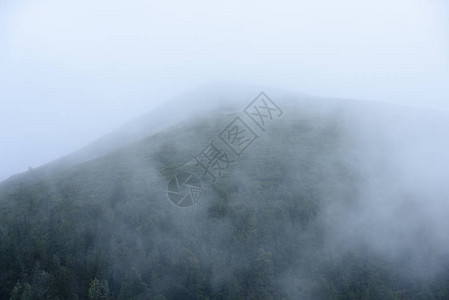 迷雾笼罩的森林中的山脉全景图片