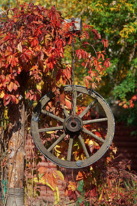 带木马车轮的秋季装饰图片