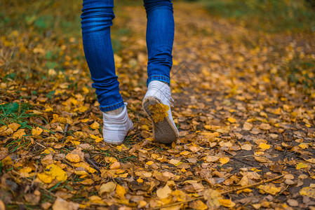 白色运动鞋一个男人停下脚步闺蜜公园里黄色树叶间自然的辣妹色彩鲜图片