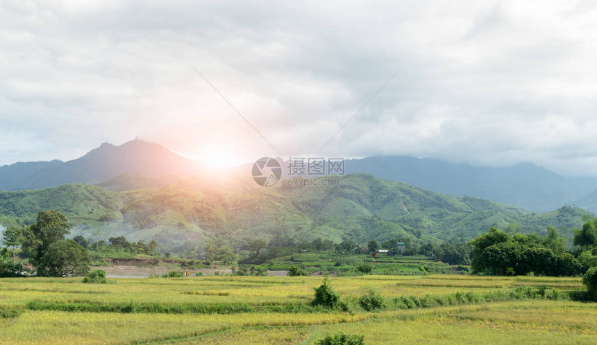 在山上砍伐森林在月亮和阴云的天空下在图片