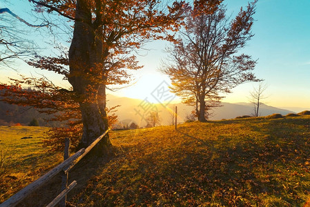 山上秋天的风景图片