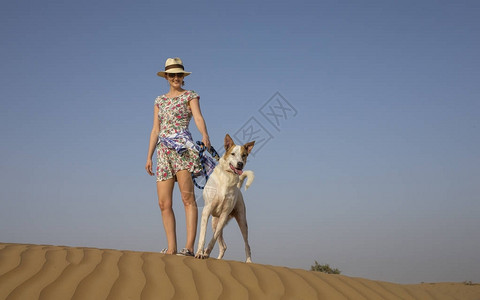 在沙漠干净的天空和沙漠背景中与狗一起行图片