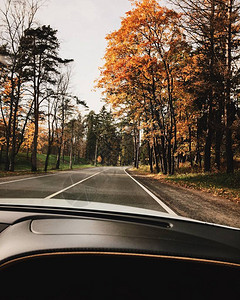 汽车旅行的概念从车上欣赏美丽的秋天风景笔直的道路图片