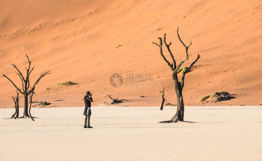 孤独的冒险旅行摄影师在Sossusvlei地区的Deadvlei火山口纳米比亚世界著名的沙漠漫游概念与非洲自然奇观与纳米比亚独图片