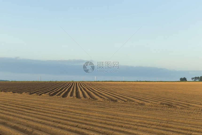 农田在春天的农村景观图片