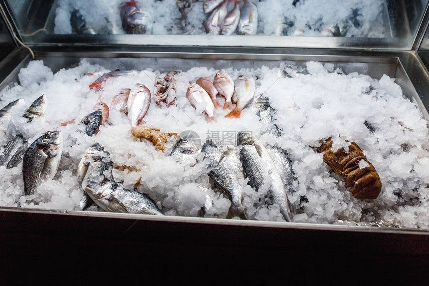 新鲜捕获的海鱼和虾在图片