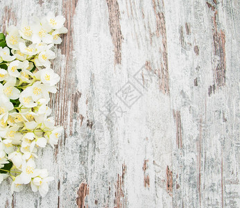 木质背景上的茉莉花边框背景图片