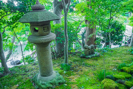 日本的石头在森图片